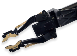 claw