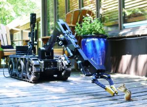 Robot gives nuts to a Chipmunk