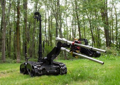 FLEX WEAPONS FIELD