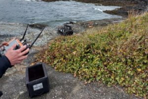 Washed-up explosive device destroyed by VicPD bomb squad